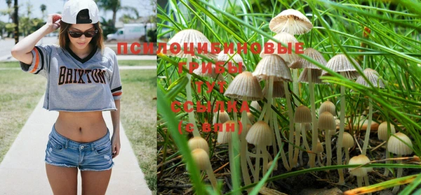 спайс Арсеньев