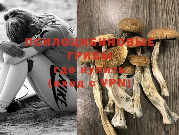 спайс Арсеньев