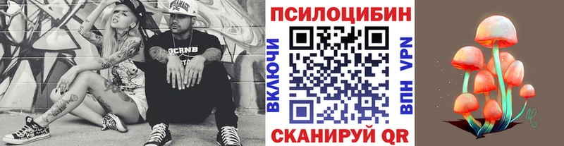 darknet какой сайт  Навашино  Псилоцибиновые грибы MAGIC MUSHROOMS 